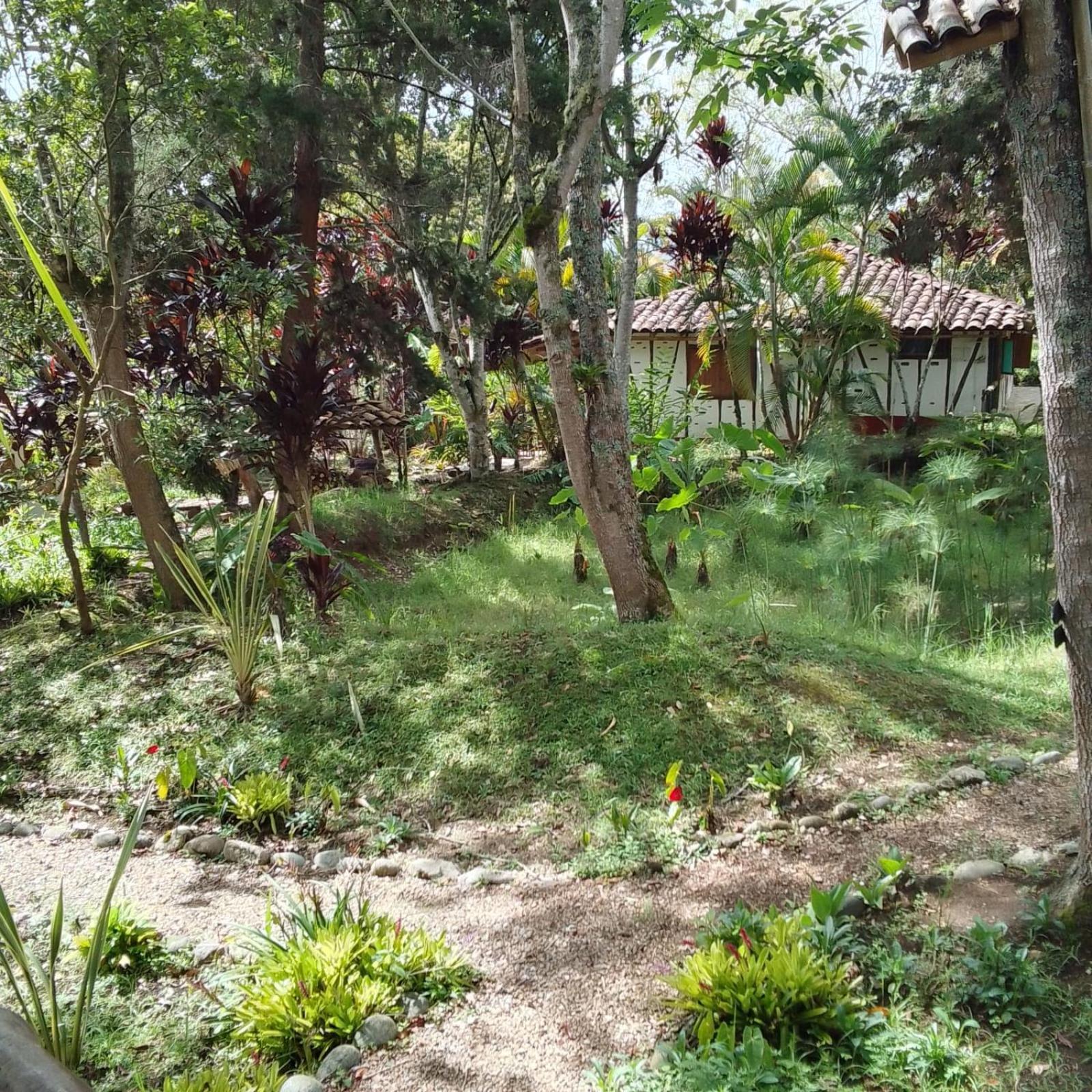 Hotel La Casa De Francois San Agustín Dış mekan fotoğraf