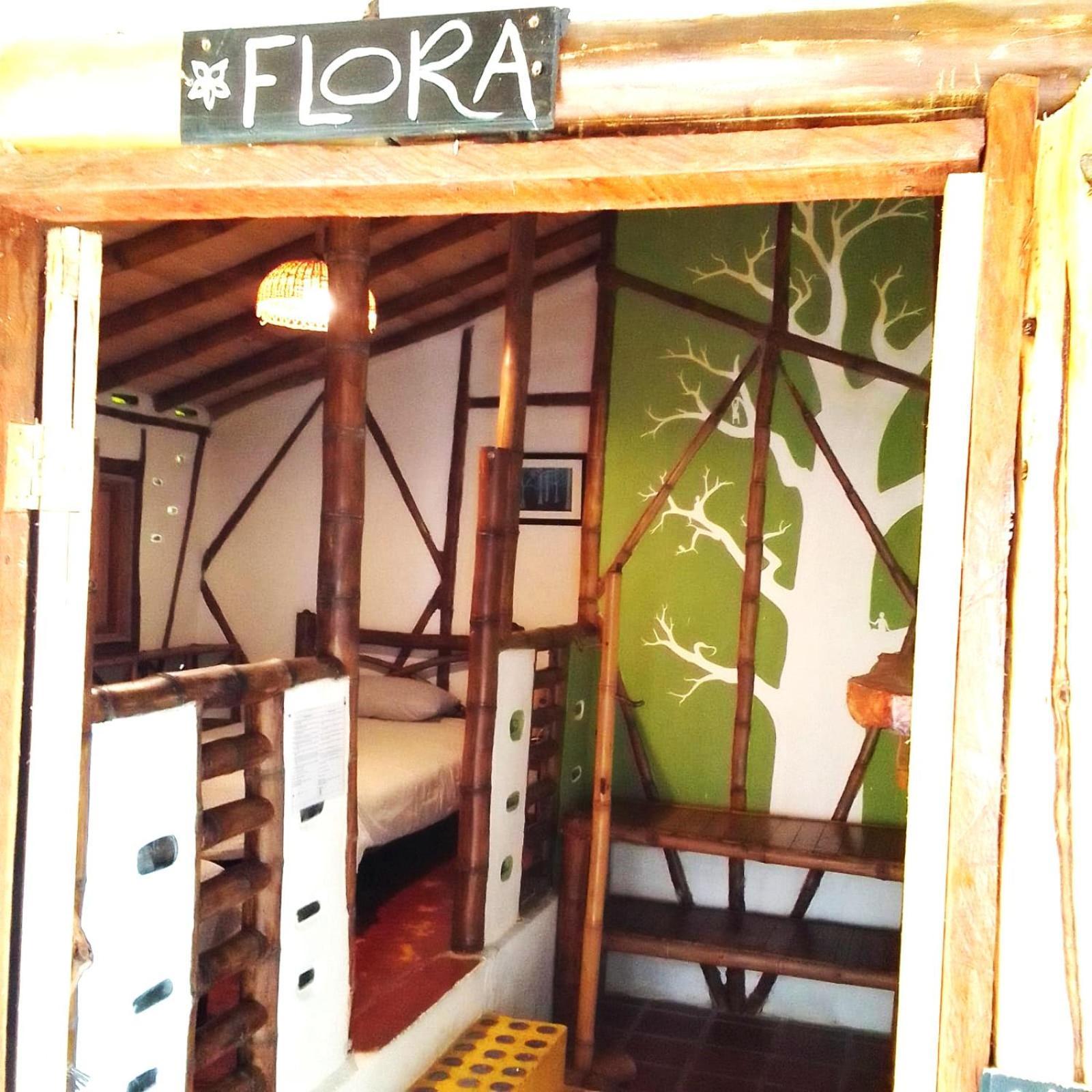 Hotel La Casa De Francois San Agustín Dış mekan fotoğraf