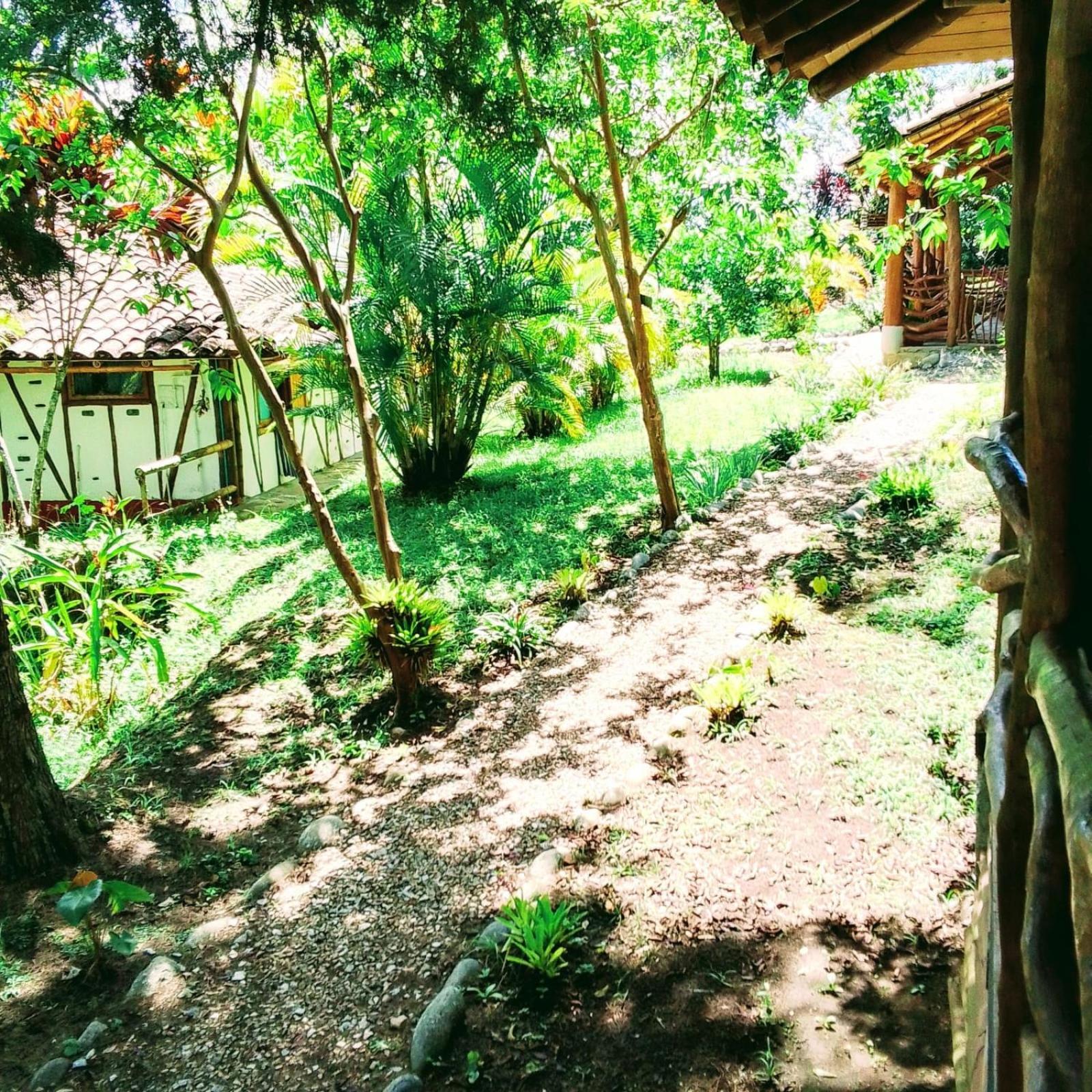 Hotel La Casa De Francois San Agustín Dış mekan fotoğraf