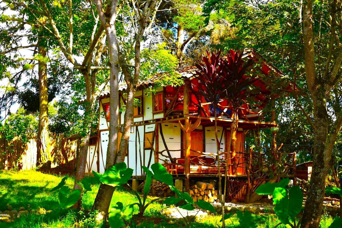 Hotel La Casa De Francois San Agustín Dış mekan fotoğraf